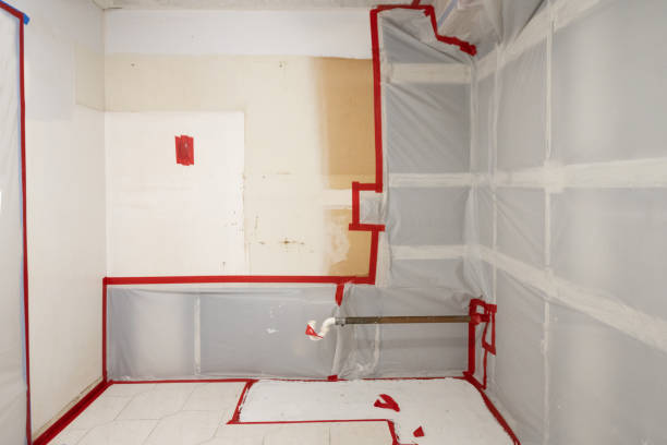 Best Industrial Mold Remediation  in Hoschton, GA