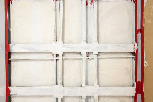 Best Asbestos and Lead Testing During Mold Inspection  in Hoschton, GA