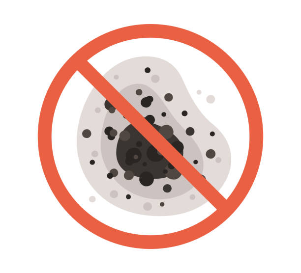 Trusted Hoschton, GA Mold Removal Experts