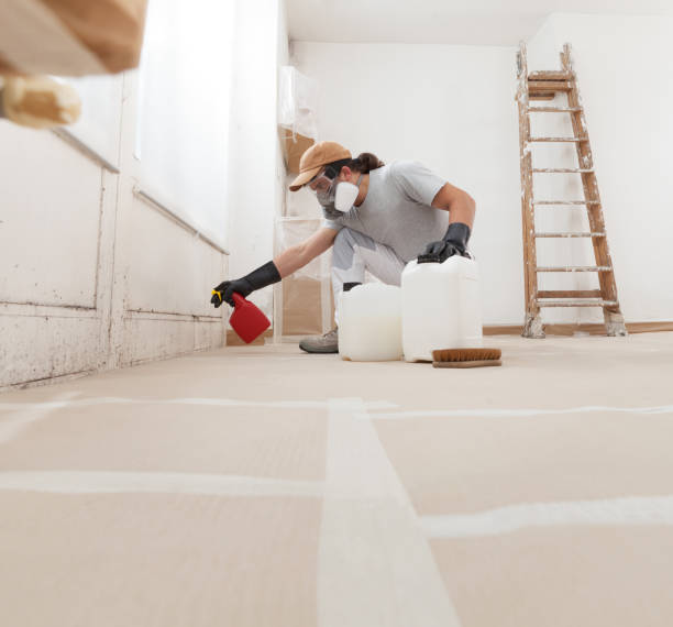 Dehumidification Services in Hoschton, GA