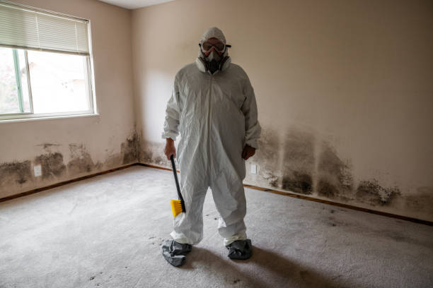 Best Post-Construction Mold Inspection  in Hoschton, GA